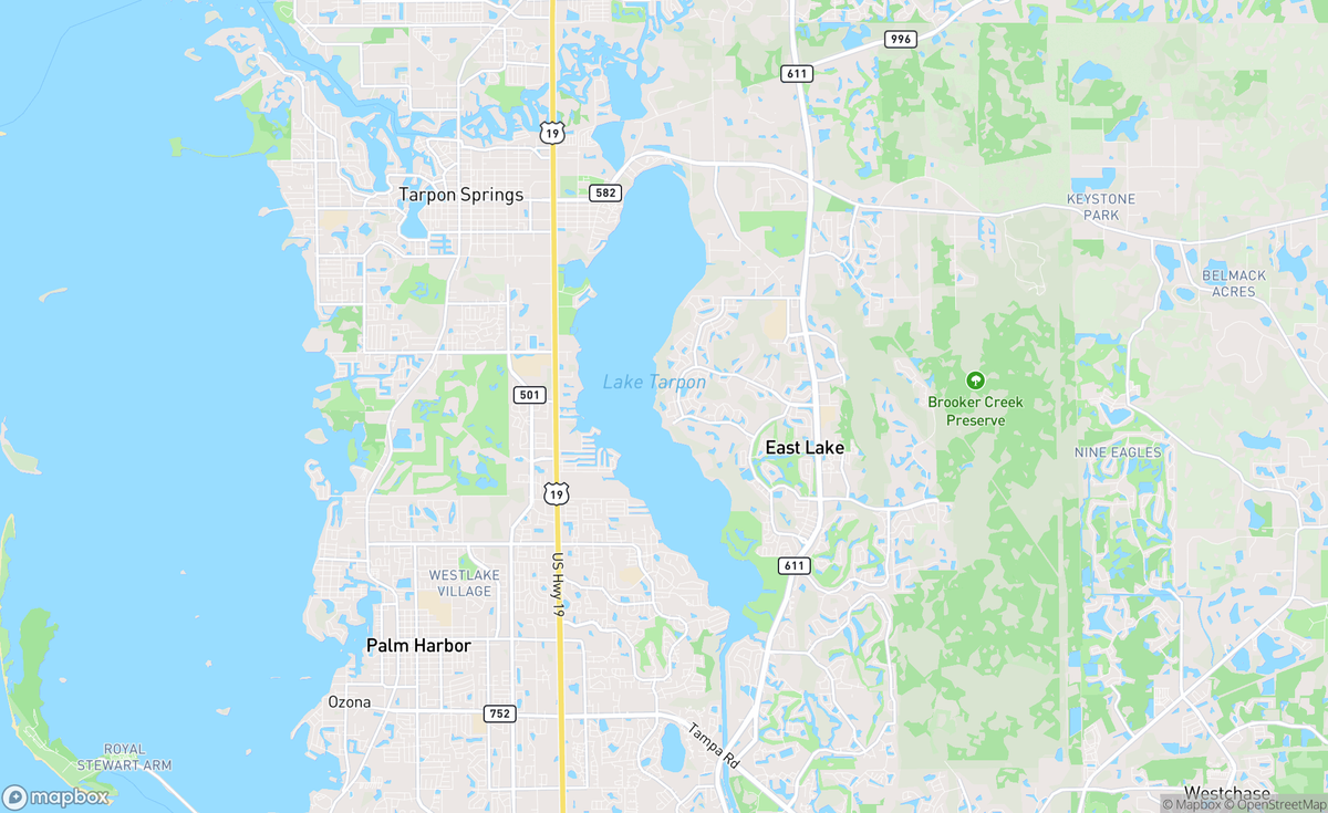 Map of Lake Tarpon, FL, USA