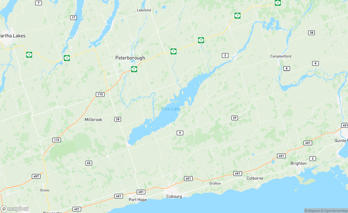 Map of Rice Lake, ON, CAN
