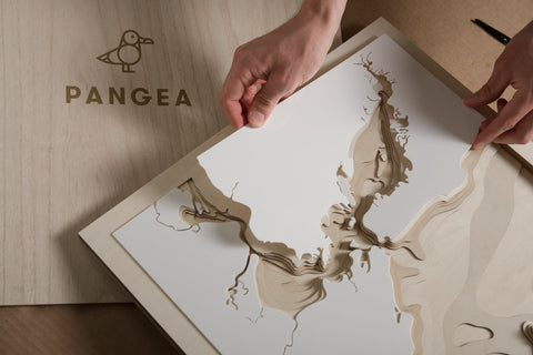 3D World Map by Pangea Maps