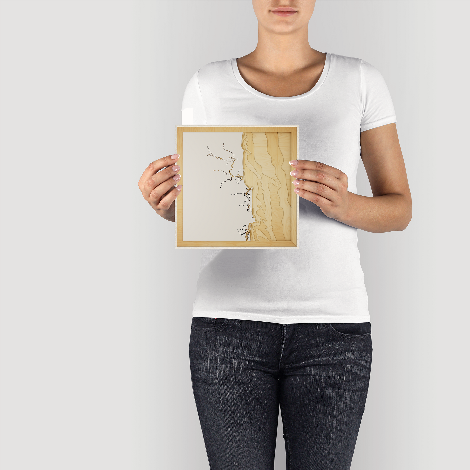 3D Map of Sunshine Coast, QLD, AUS – Pangea Maps
